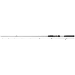 Daiwa Airity Spin 2,40 Meter 28-70 G