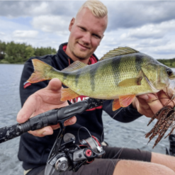 Quantum Smoke S3 Plus Spinning 270 Cm 12-75 G -Angeln Verkaufsgeschäft Quantum Smoke S3 Plus Spinning 7fItVPBx9SHkUC 1280x1280