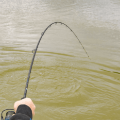 Preston Supera X Feeder 11 Ft -Angeln Verkaufsgeschäft SUPERA X FEEDER RODS3 1280x1280 1