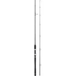 WFT Sea Dart Seelachs Jigger 2,20 Meter 40-160 G