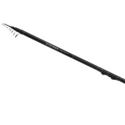 Shimano Catana Static Bait Stellfischrute TE 750