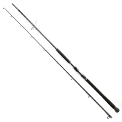 Daiwa Exceler Catfish 270cm 200-600g