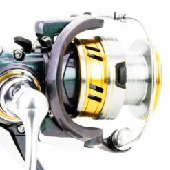 Daiwa 18 Regal LT 2000D -Angeln Verkaufsgeschäft 18 regal lt 2000 detailZTYpGJ1ubYCED 1280x1280