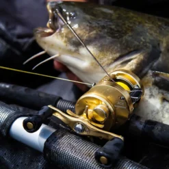 Shimano Calcutta Conquest 201 A -Angeln Verkaufsgeschäft CALCUTTA Conquest 18 1250x1250px V6 1280x1280