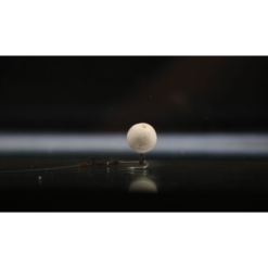 Zadravec Baits Wafters Balanced Smoked Choco Rum 20 Mm 60 G -Angeln Verkaufsgeschäft Wafter anwendungm9PLkHoOpfD8Y 1280x1280