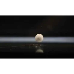 Zadravec Baits Wafters Citrus 20 G 10 Mm -Angeln Verkaufsgeschäft Zadravec Baits Wafters 10 mm 20 goBbZ8jrzkKUT9 1280x1280