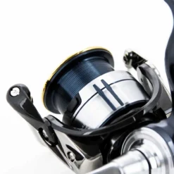 Daiwa 19 Certate LT 3000D -Angeln Verkaufsgeschäft certate g lt spulendetailkjYl1K1Y13YJ5 1280x1280