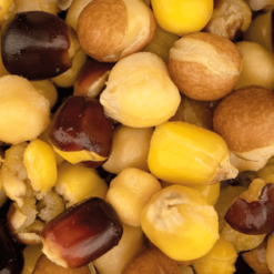 Nash Large Seed Mix 2,5 Liter -Angeln Verkaufsgeschäft largeseedmix11 1280x1280