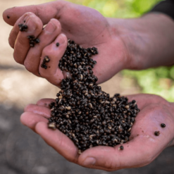 Nash Oily Hemp 2,5 Liter -Angeln Verkaufsgeschäft oilyhemp11 1280x1280