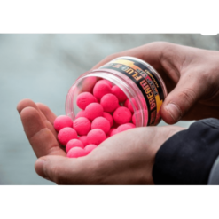 Zadravec Baits Dream Fluo Pop Up Mango 16 Mm 60 G -Angeln Verkaufsgeschäft pup up mango beispiel 1280x1280